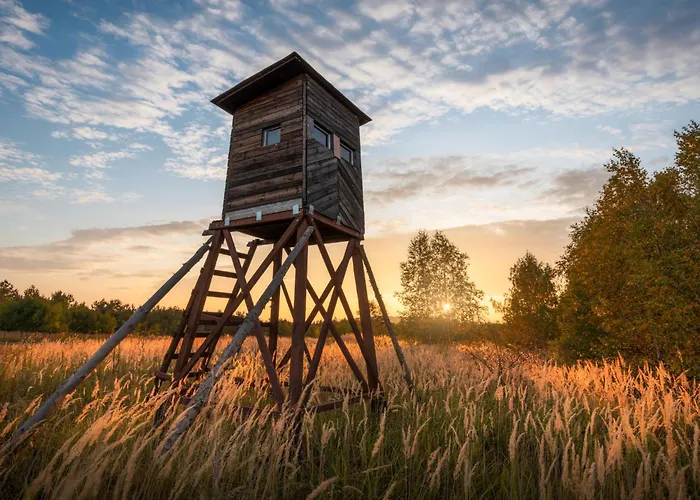 Istrien Traditionelles Steinhaus 5 By Interhome * Kotli