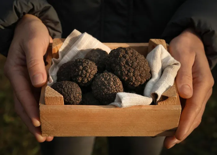 Istrien Traditionelles Steinhaus 5 By Interhome *